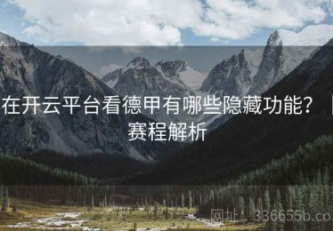 在开云平台看德甲有哪些隐藏功能？｜赛程解析