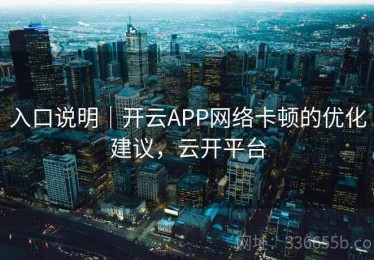 入口说明｜开云APP网络卡顿的优化建议，云开平台
