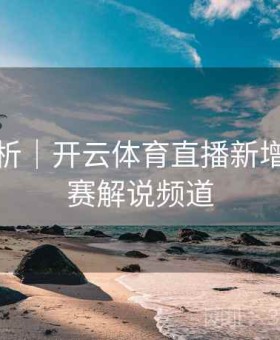 实时分析｜开云体育直播新增五大联赛解说频道