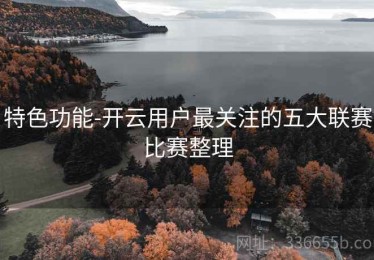 特色功能-开云用户最关注的五大联赛比赛整理
