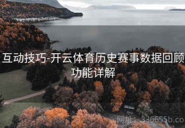 互动技巧-开云体育历史赛事数据回顾功能详解
