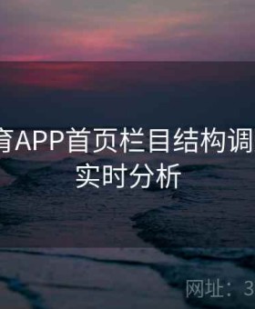 开云体育APP首页栏目结构调整解读｜实时分析