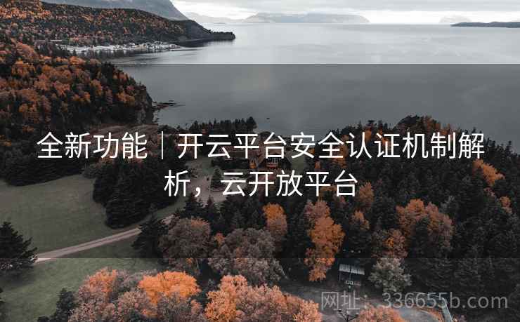 全新功能｜开云平台安全认证机制解析，云开放平台