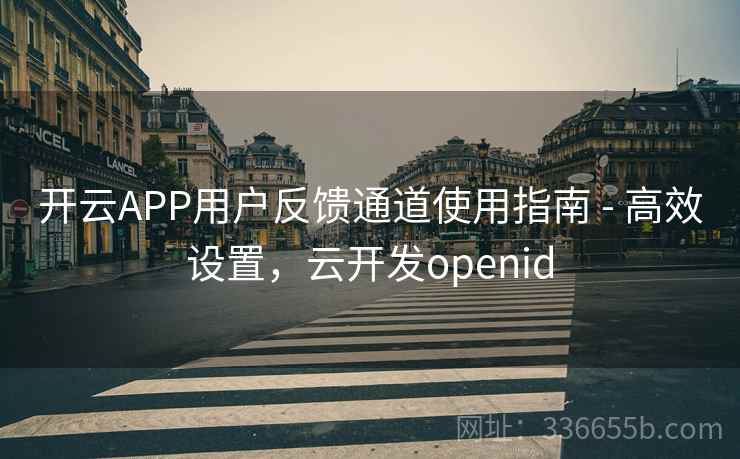 开云APP用户反馈通道使用指南 - 高效设置，云开发openid